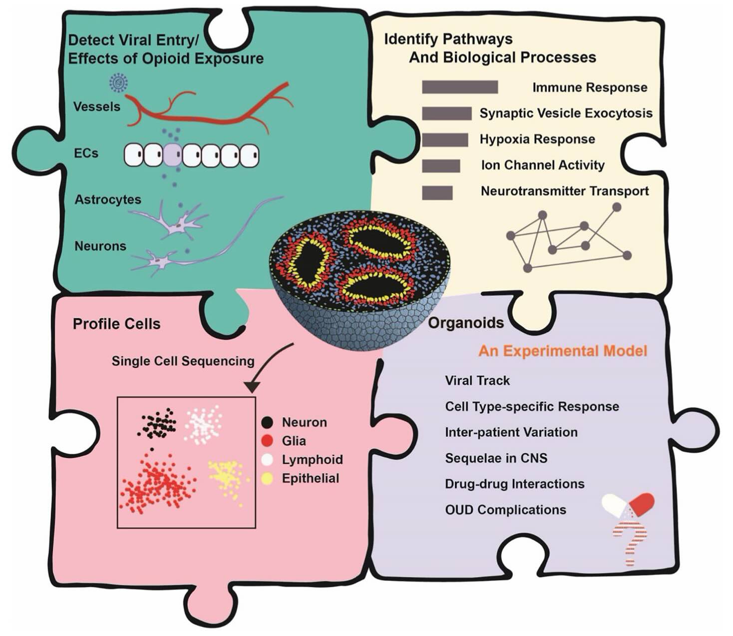 Publication_10_2021 JTE.jpg